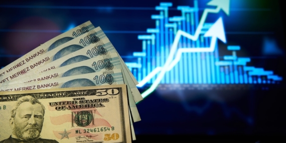 Dolar/TL Kuru Haftanın İlk İşlem Gününde 49,1630 Seviyesine Ulaşarak Zirve Tazeledi