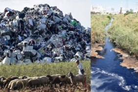 Türkiye'de İthal Plastik Atık Artışı ve Geri Dönüşüm Sektörü Çevre Risklerini Büyütüyor