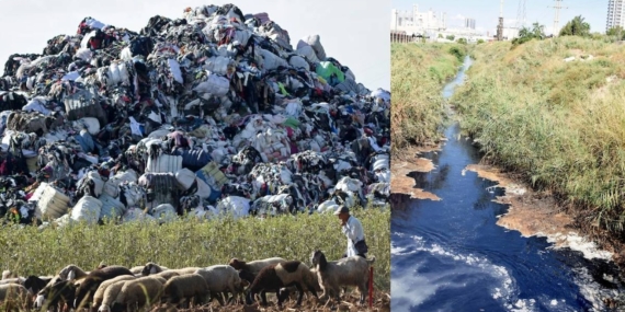 Türkiye'de İthal Plastik Atık Artışı ve Geri Dönüşüm Sektörü Çevre Risklerini Büyütüyor